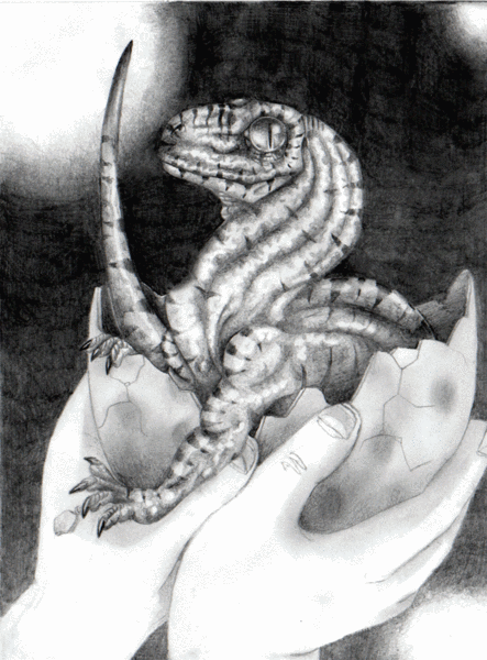 Baby Raptor