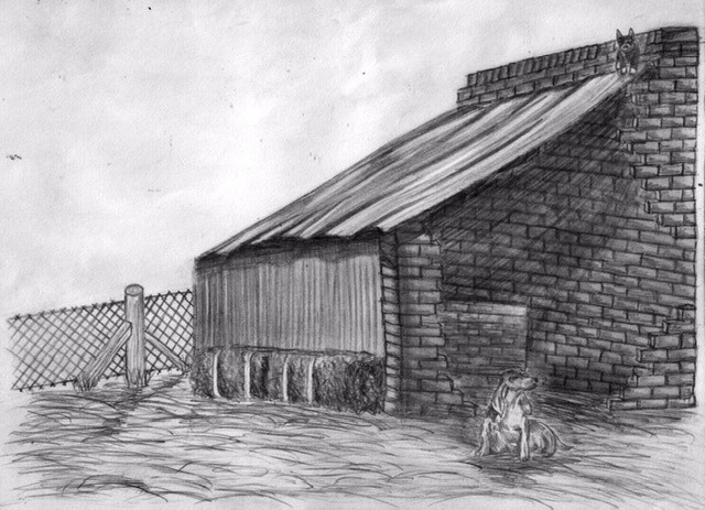 Landscape of a barn