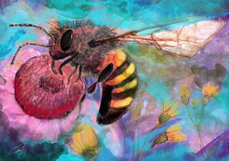 Bee2