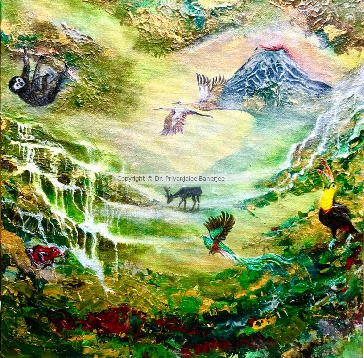 Distant Rumble of a Rainforest