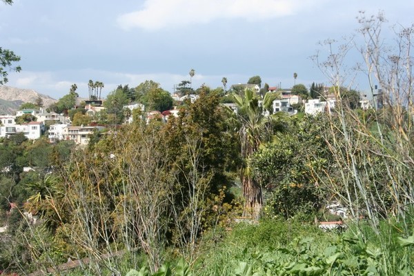 Hill Houses