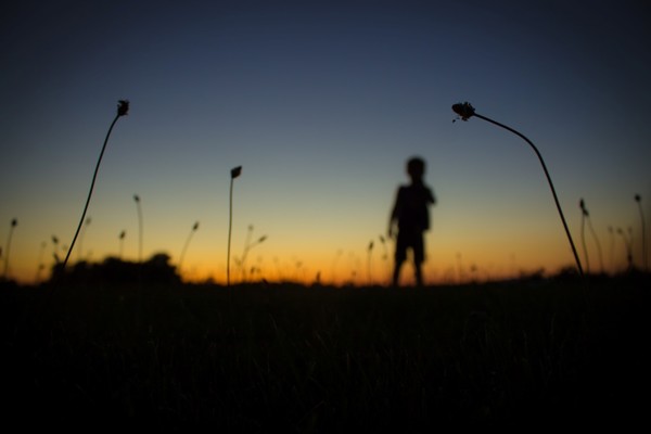 Sunset Pixie (7)