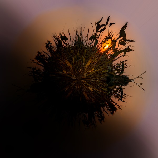 Tiny Sunrise