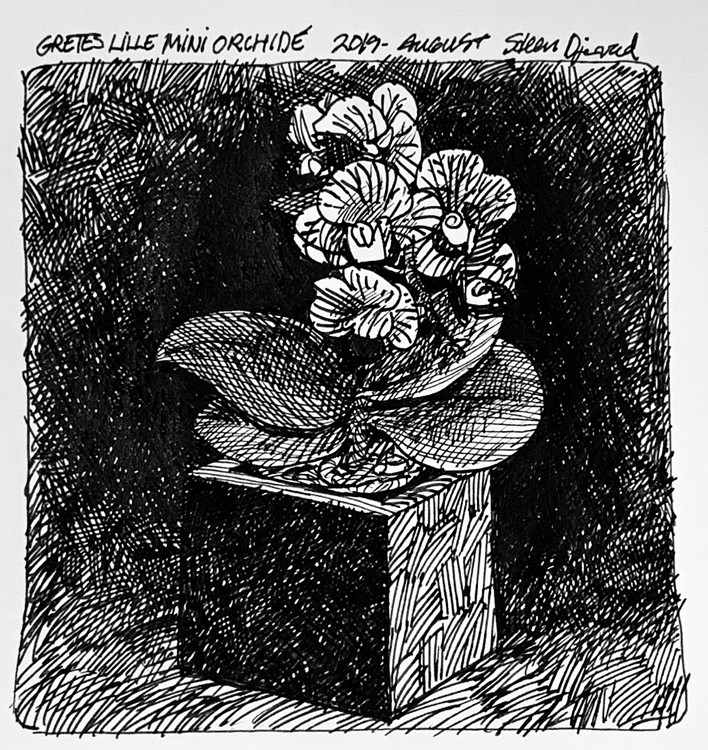 My wife’s mini orchid  (drawing 10x10 cm)