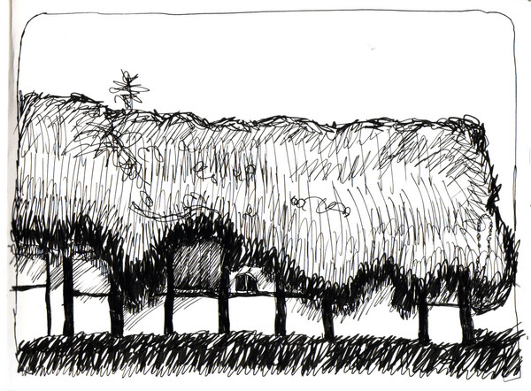 Seaweed roofing