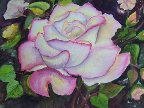 Yellow Rose