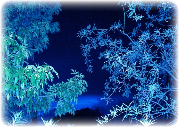 Flora Glow