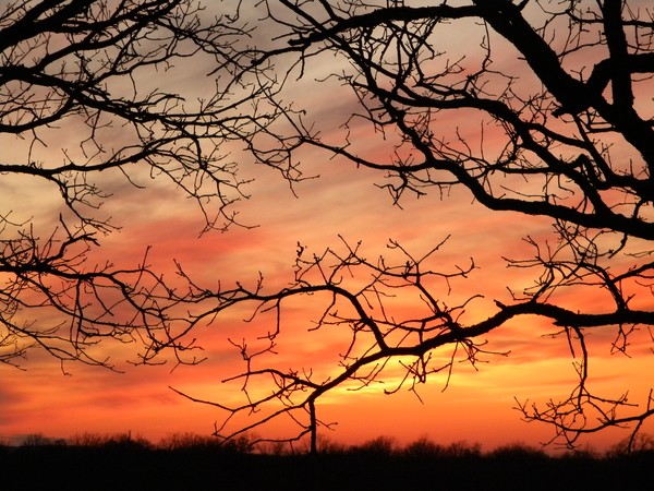 Last Sunset of 2009