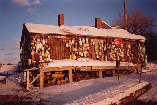 The Lobster Shack