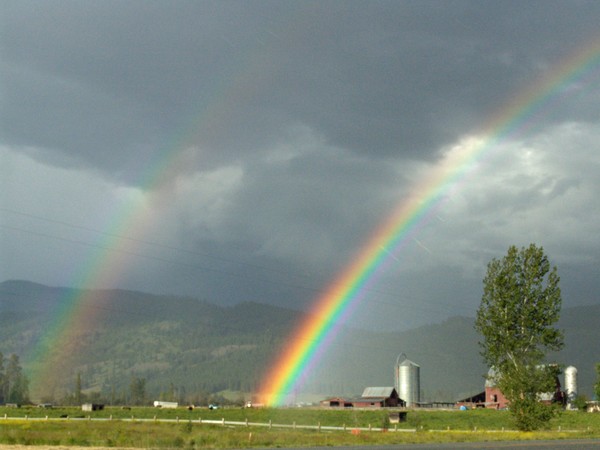 Rainbow over the farm