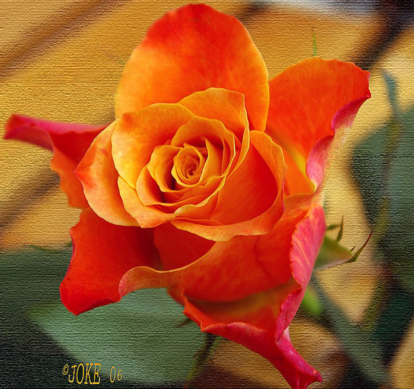 Have all an beautiful weekend
