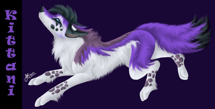 Kittani - Gift Art - 2017