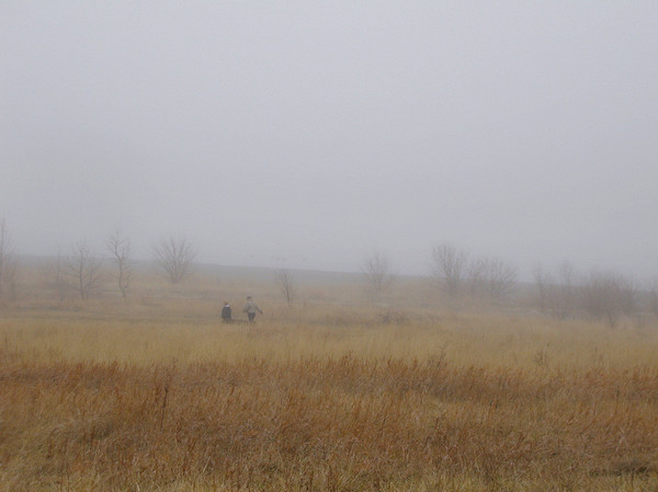 Walking on a foggy morning