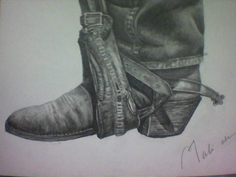 Cowboy shoe