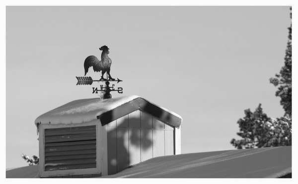 Weather Vane
