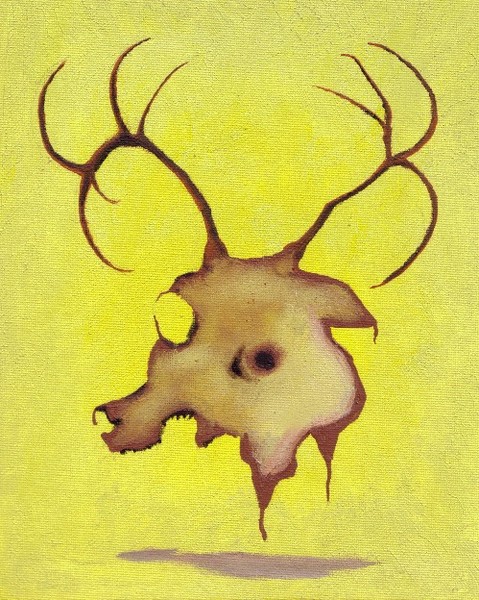 No Name For Rotting Deer Skull