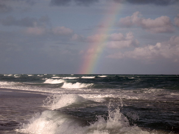 Ocean Rainbow
