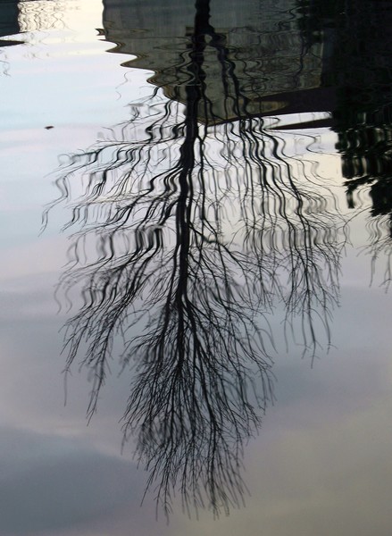 Broken Reflection