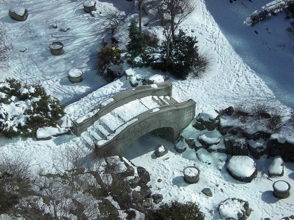 Above the Bridge
