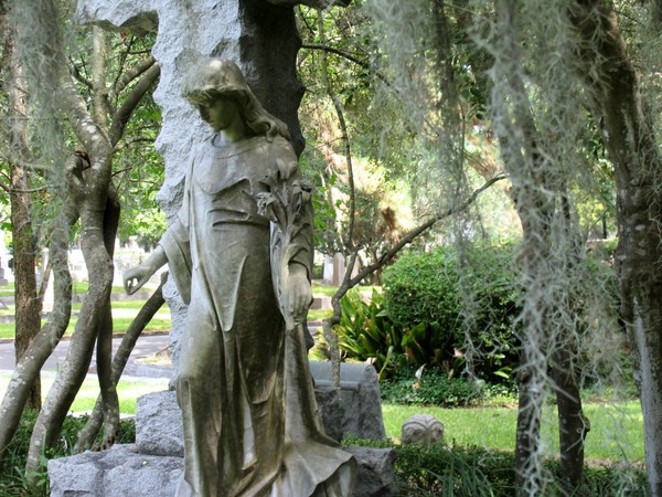 Glenwood Shroud
