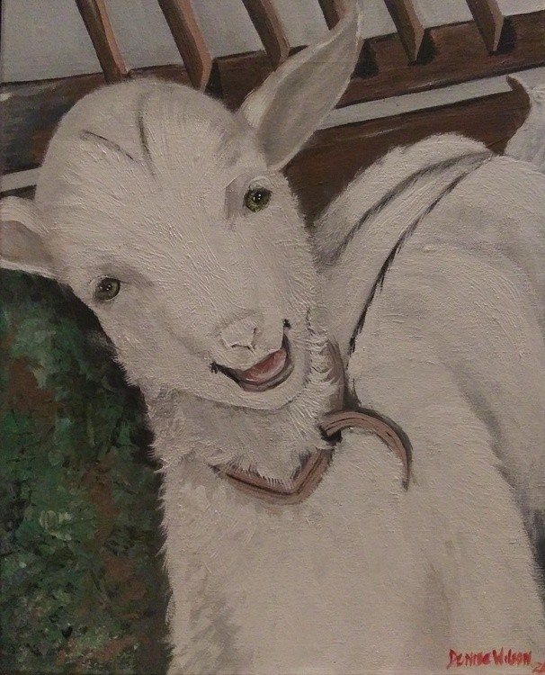 20201207 my goat