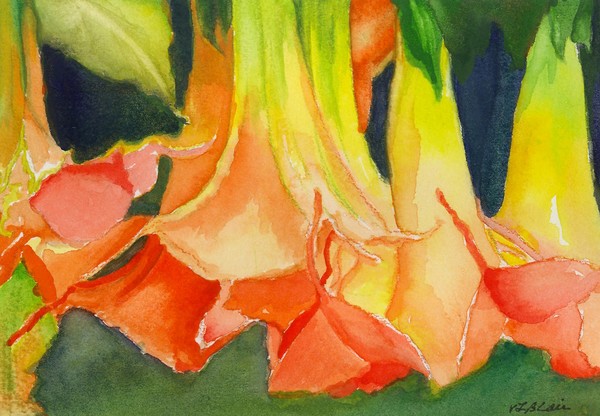 Angel Trumpet