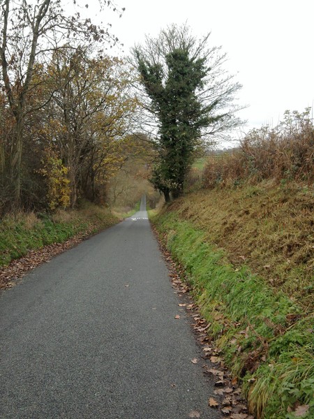 Scotch hills 3