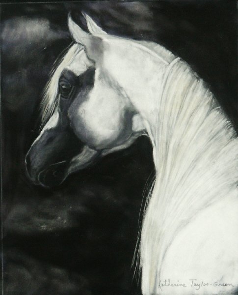 Silver Serenity