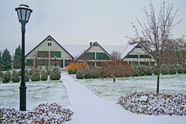 Snowy Arsht Hall