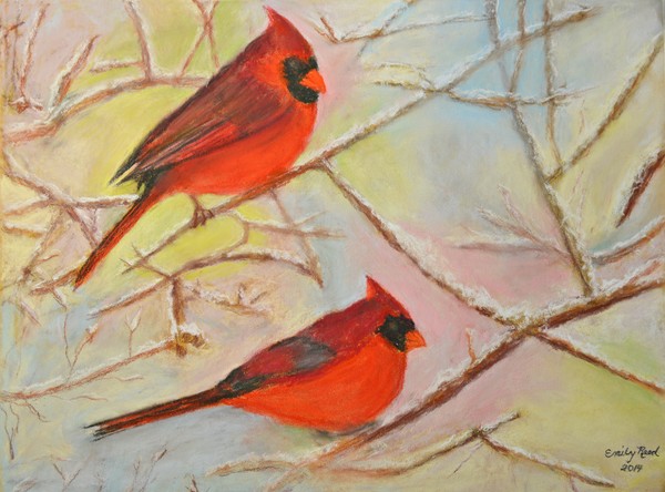 Winter Cardinals