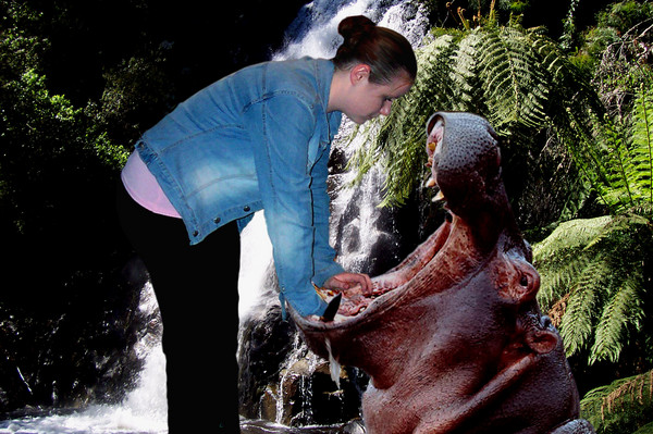 hippo doctor liss