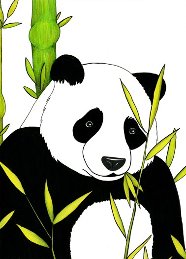 Panda Go Yum