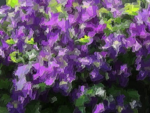 The Glass Clematis