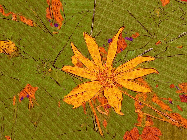 Falling into Fall
