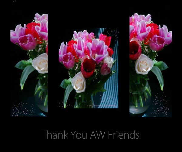 Thank You AW Friends