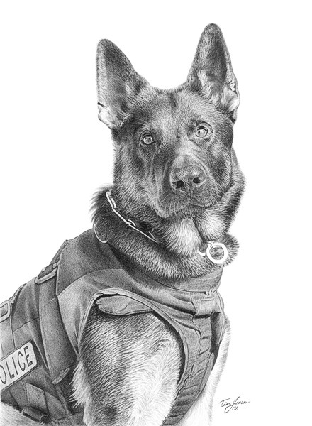 In Memory of Ronin