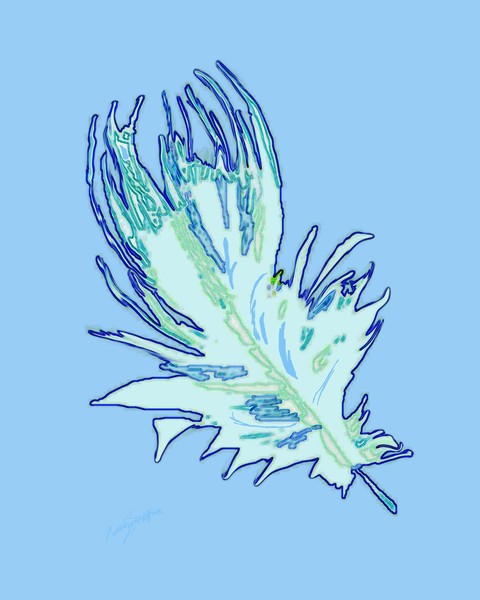 Bold Feather