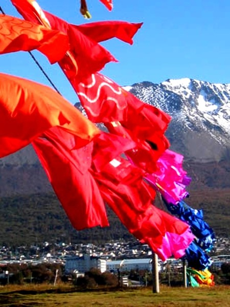 BIENAL DE USHUAIA-TIERRA DEL FUEGO-II