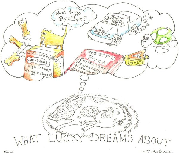 Lucky's Dream