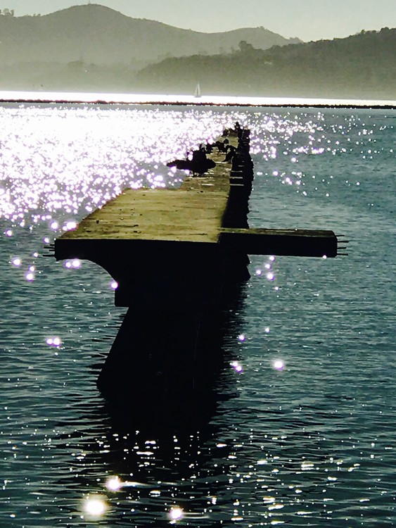 Pier Point