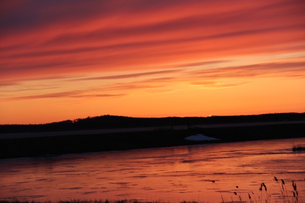 Scarlet sunset