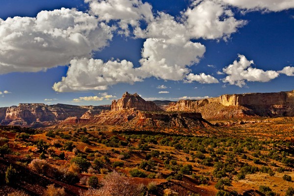 Reds Canyon Vista