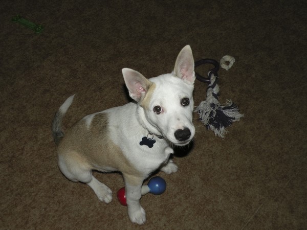Play with me?