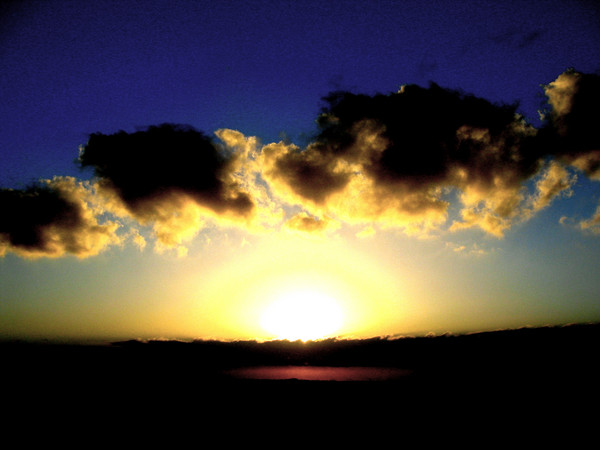 yesterday evening (4)