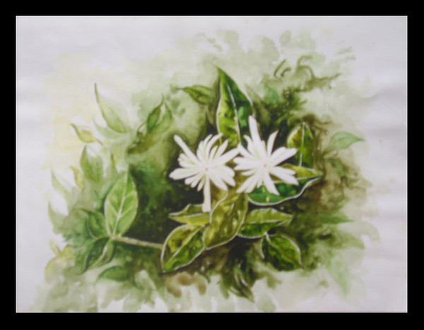 Two daisies