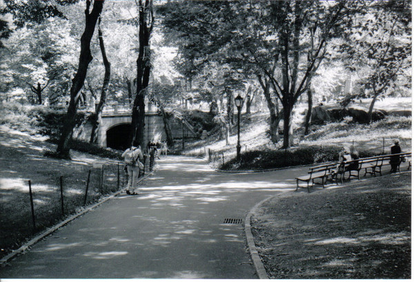 Central Park
