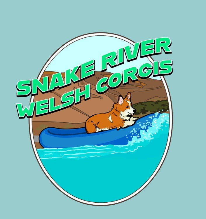 snake river corgis 
