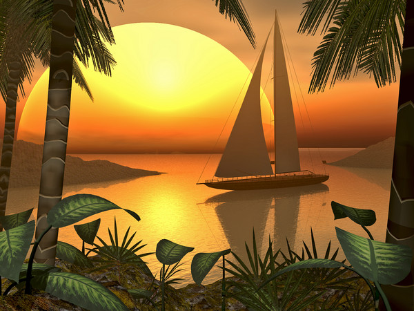 Tropical Cove
