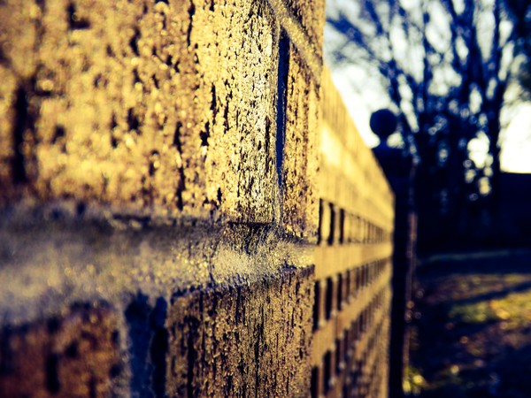 On the Fence