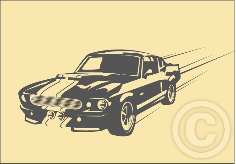 CAR MOTION